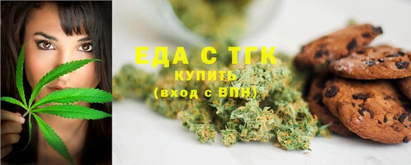 стаф Касимов
